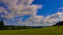 IMG_11539b