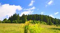 IMG_11567b