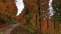 IMG_11681b