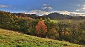 IMG_11699b