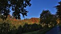 IMG_11703b