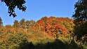 IMG_11711b
