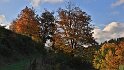 IMG_11728b