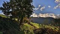IMG_11733b
