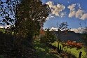 IMG_11738b