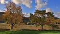 IMG_11739b