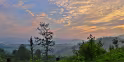 IMG_12386x-IMG_12387b